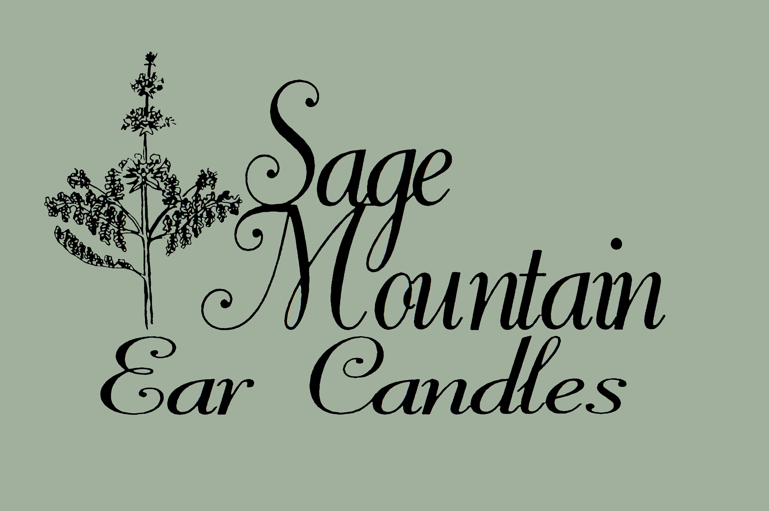 LogoColor031611.jpg